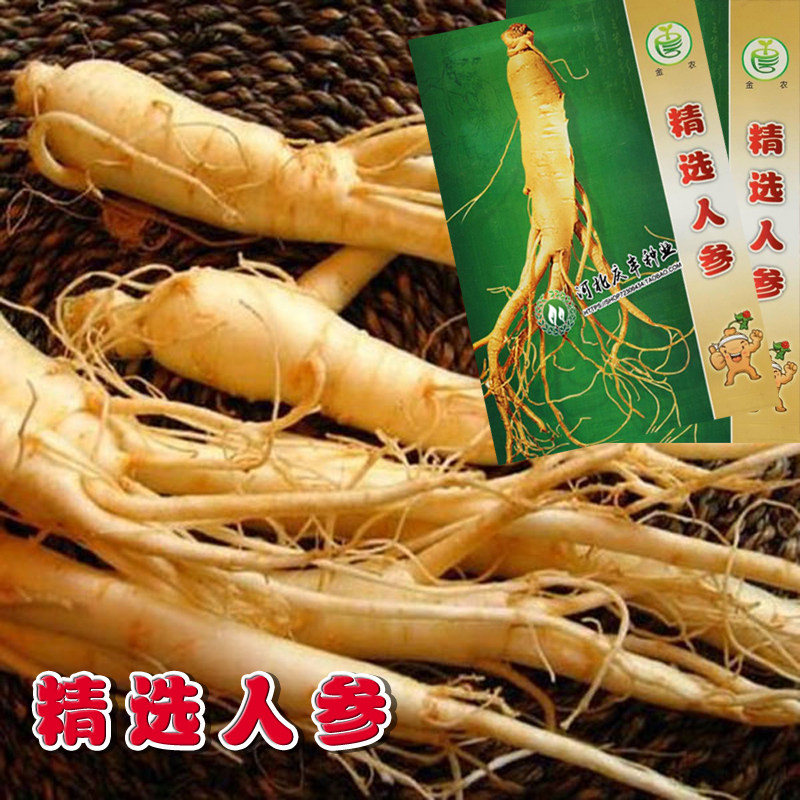 精选人参种子蔬菜种子四季种食用家庭盆栽庭院长白山人参中药种子