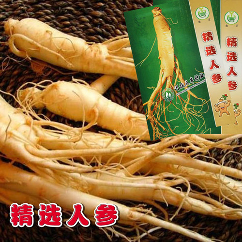 人参菜种子价格 人参菜种子图片 星期三