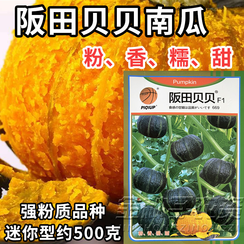 阪田贝贝南瓜种子日本引进迷你小贝贝粉糯香甜板栗礼品南瓜种子籽,鲜花速递/花卉仿真/绿植园艺,家庭园艺种子,淘宝优惠券,粉丝福利购,淘宝优惠卷