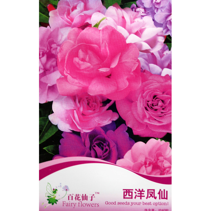 西洋凤仙花种子 指甲花种子 阳台庭院盆栽花卉庭院室内花卉耐寒