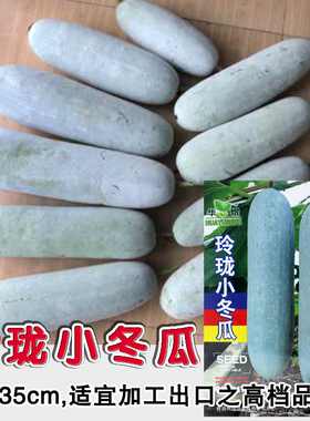 玲珑小冬瓜种子粉皮蔬菜迷你冬瓜种籽水果台湾冬瓜 四季盆栽春播