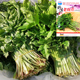 东北野生老水芹种子山野菜黑瞎子山芹种籽种苗盆栽山芹菜籽春季 播