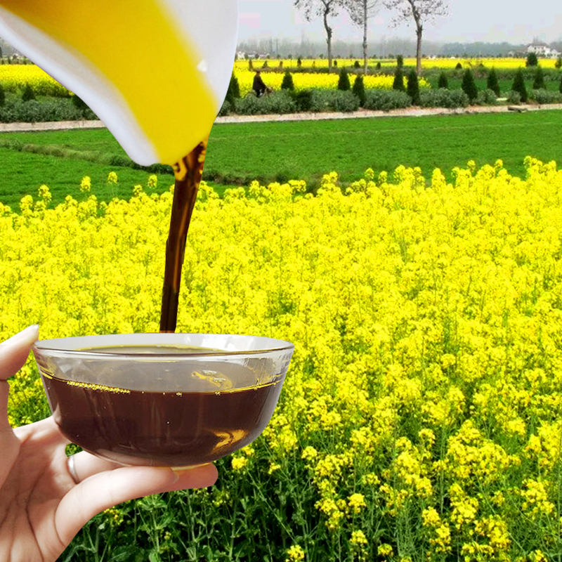 秋季高产耐寒观赏食用油菜籽