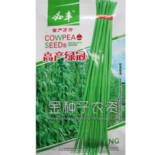 必丰高产绿冠荚嫩绿豇豆种子春季中早熟豆角采收期长四季播蔬菜