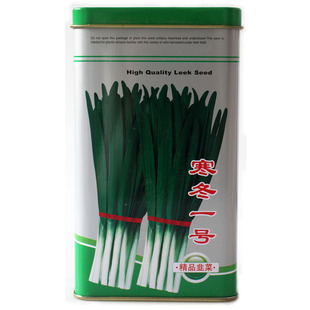 雪韭王韭菜种子籽多抗四季播青宽叶冬季不休眠高产抗寒长茎大白根