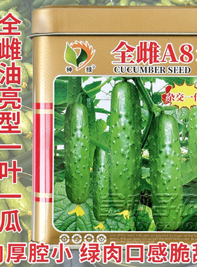 全雌A8F1黄瓜种子孑绿皮绿肉水果黄瓜种籽节节瓜南北方春秋四季播