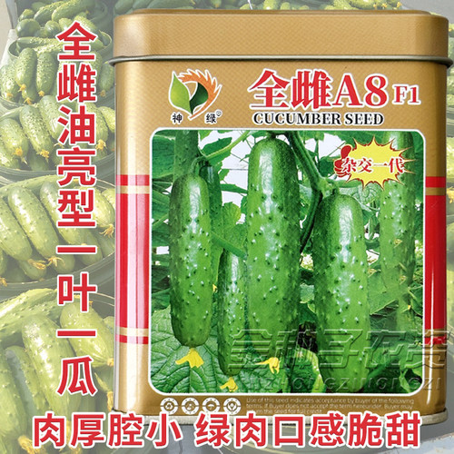 全雌黄瓜种子绿皮绿肉水果黄瓜种