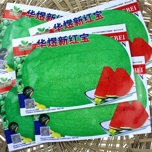 新红宝西瓜抗重茬懒汉特大巨型