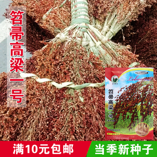 笤帚高粱种子孑红樱子红糯高粱种子 春季酿酒原料矮生抗旱高产籽