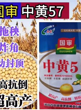 中黄57黄豆种子大豆种子