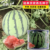 Классический джинсин 50 граммов ведра имеет высокое преждевременное содержание сахара