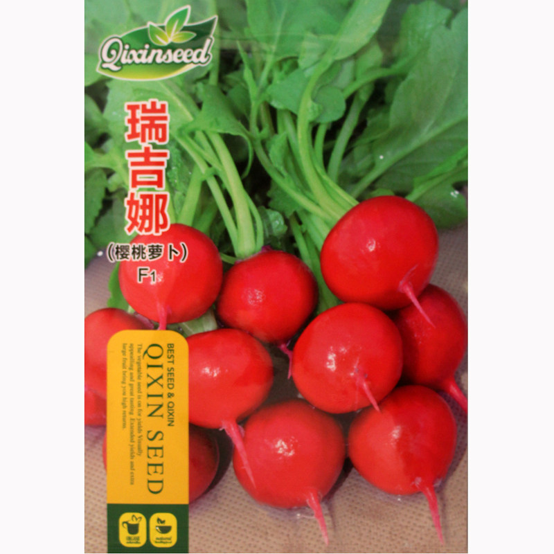 蔬菜种子荷兰进口杂交瑞吉娜樱桃萝卜种子水果萝卜小萝卜耐寒抗热