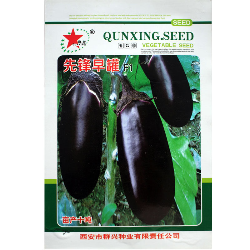 特大牛心茄种子紫茄罐大果紫茄子紫红椭圆形蔬菜亩产十吨牛心茄籽