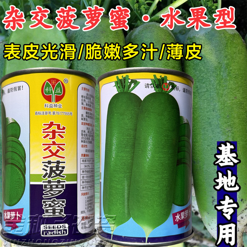 科益杂交菠萝蜜萝卜种子超甜