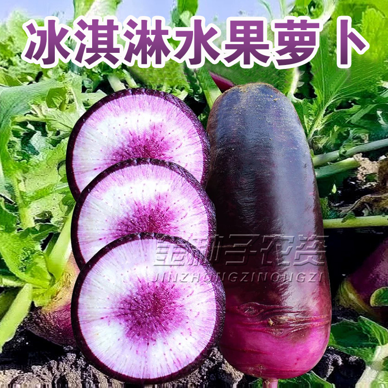 冰激凌糖心水果萝卜种子种籽甜脆型紫皮冰淇淋水果凤梨种孑菜种子