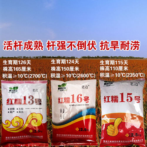 红糯高粱种子红高粱种子