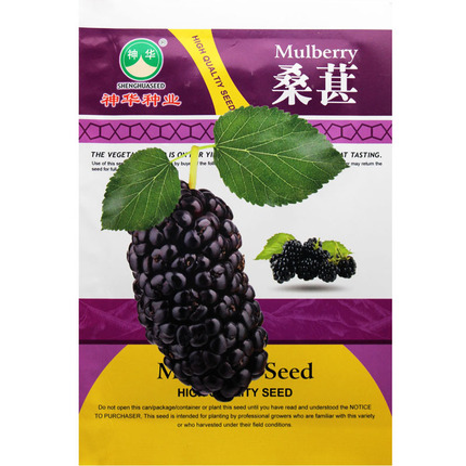 Fruit mulberry seeds spring and autumn cherry seeds cherry cherry cherry mulberry tree fruit mulberry mulberry jujube seed seeds mulberry tree