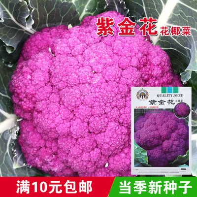 最新优惠券大全 优惠券