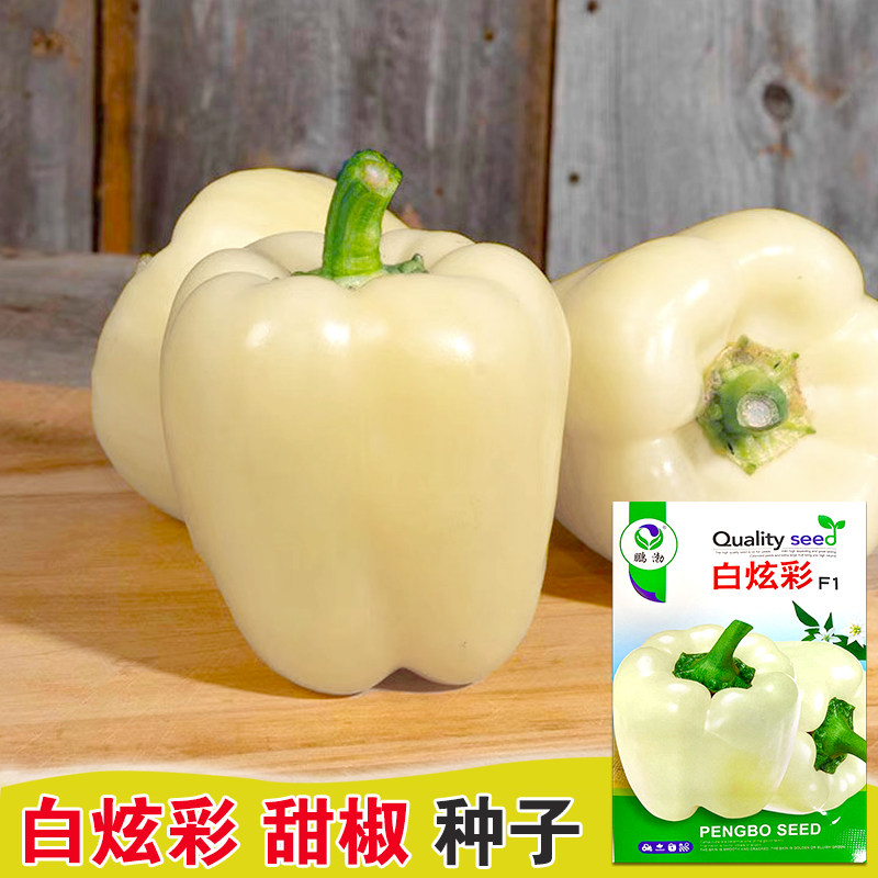 白玉大彩椒种子灯笼椒菜辣图片