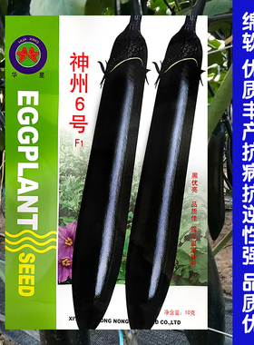 神州6号黑长茄子种子黑龙茄子种籽黑紫色早熟高产蔬菜长茄孑品种