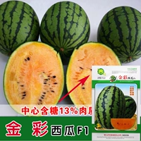 Золотой арбуз/100 шт [Радужная дыня]