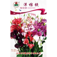 Около 25 зерен апельсинов в апельсинах [3 мешка]