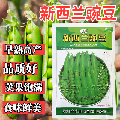 新西兰豌豆甜豌豆种子
