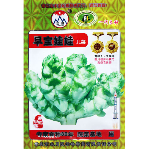 早熟种子四季娃娃菜