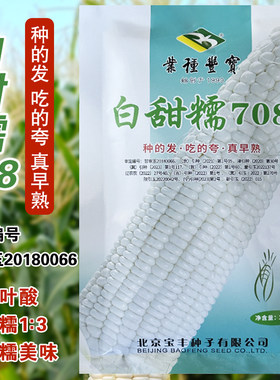 白甜糯708甜糯玉米种子大田基地