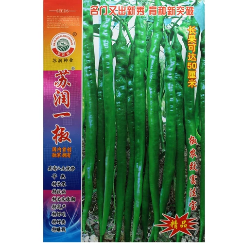 Семена перца линии перца Су Руньи, яровые высокоурожайные семена овощных культур перца линии, раннеспелые, устойчивые к болезням, высокоурожайные, высеваются в четыре сезона весной и летом.