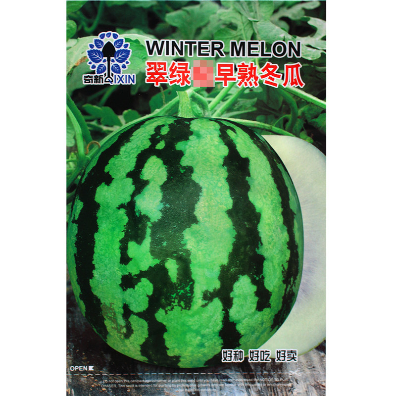 翠绿早熟花皮冬瓜种子节瓜四季高产冬瓜种籽春季夏秋盆栽蔬菜种孑