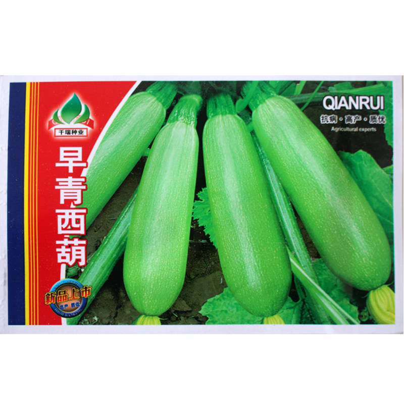 早青西葫芦种子青绿皮葫芦种子春夏四季播阳台高产早熟大面积种植