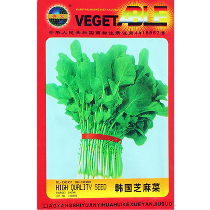 进口芝麻菜种子 韩国 多次摘 芝麻香菜沙拉 四季播 小叶火箭菜r