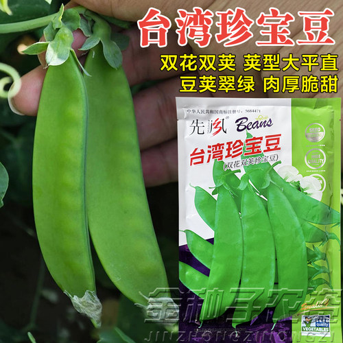 珍宝豆荷兰豆种子大荚高产