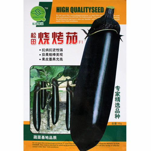 松田烧烤茄种子紫黑发亮粗茄子