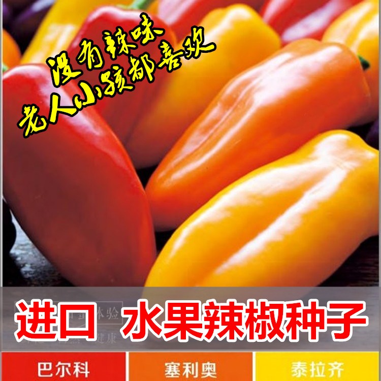 法国进口水果辣椒种子水果椒种籽甜椒盆栽春夏秋冬季观赏食用四季