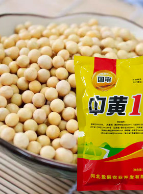 国审黄豆种子放心种中黄13