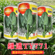 杂交耐热菠菜种子种籽高产种夏季 高温蔬菜孑子波菜子了 夏天种植