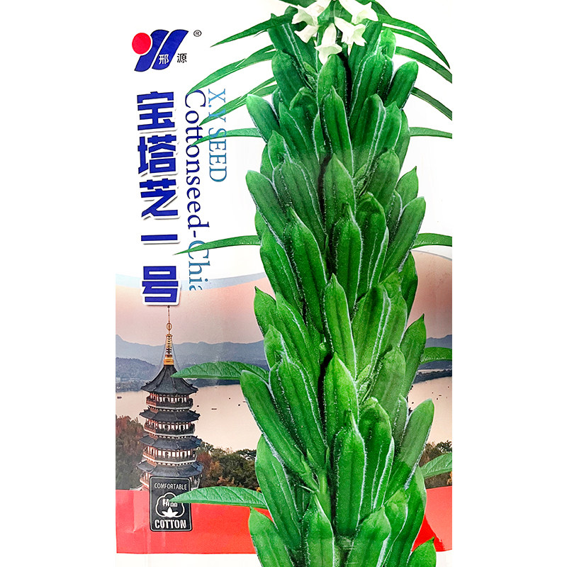 航天育种白芝麻种子宝塔芝一号 荚粗长密 抗病不早衰极整齐春季播