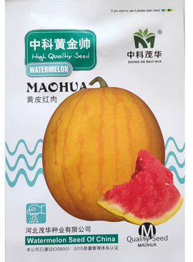 蔬菜春季礼品种子高产早熟小西瓜