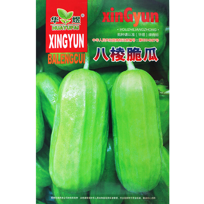 八棱脆瓜种子 菜瓜 梢瓜烧瓜种籽 黄河脆瓜 一窝猴青瓜四季春夏季
