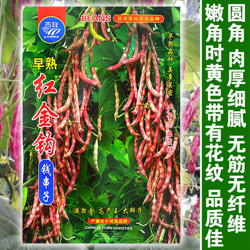 东北黄金勾红金钩豆角架豆王种子高产油豆角种籽沟扁豆春季蔬菜孑
