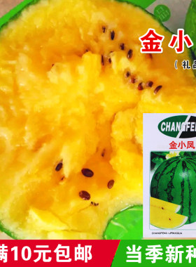 金小凤春季黄壤含糖量高西瓜