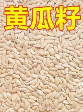 长黄瓜籽补钙效果更好