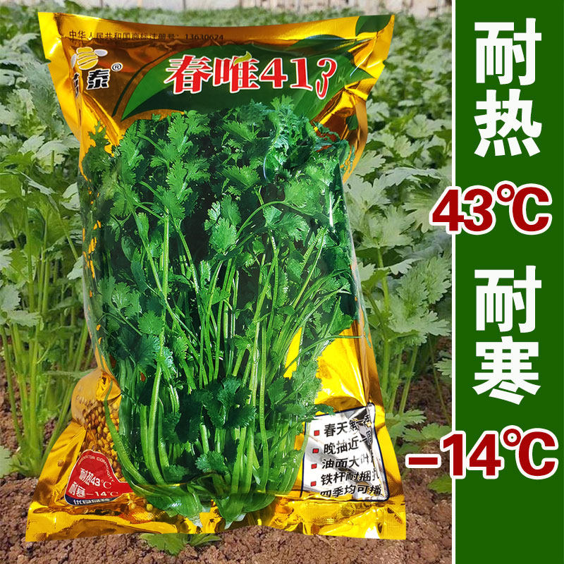 四季种春唯香菜菜种大田耐热菜仔春菜籽蔬菜籽种耐寒秋冬季莱种子