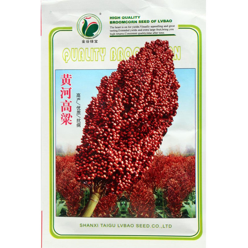 红高粱种子 黄河高梁种子 酿酒 高产矮生 抗旱高产酿酒高粱籽春季
