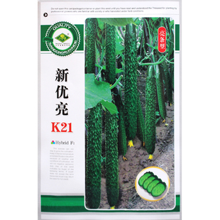 密刺早春黄瓜种子春夏秋蔬菜籽高产四季油亮夏季耐高温绿瓤菜种孑