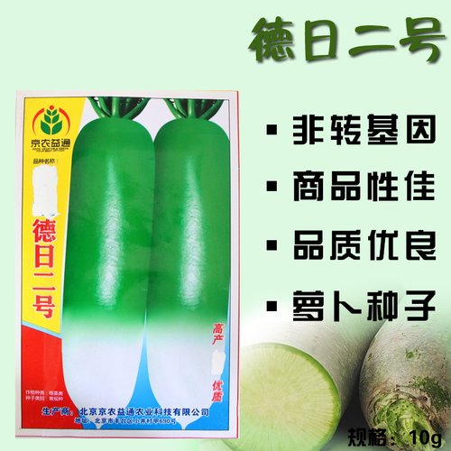 抗病强产量高秋季绿萝卜