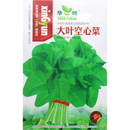 空心菜种植价格 空心菜种植图片 星期三