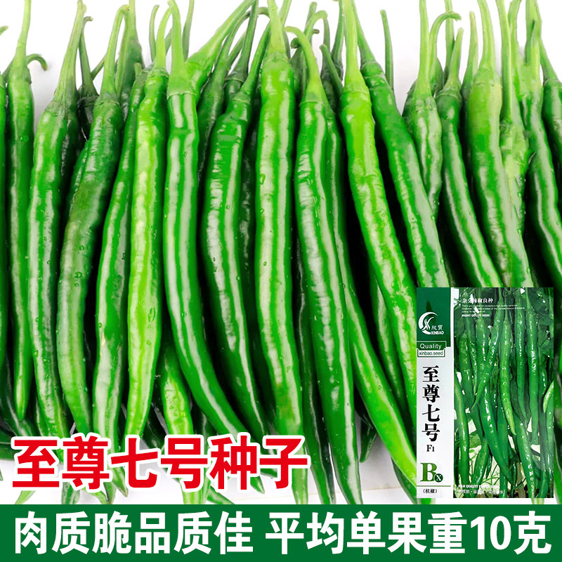 蔬菜种子正宗本地杭椒种子杭椒一号小尖椒辣椒红线椒青椒不辣包邮,鲜花速递/花卉仿真/绿植园艺,家庭园艺种子,淘宝优惠券,粉丝福利购,淘宝优惠卷